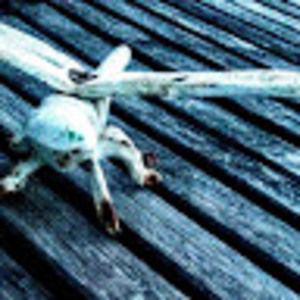 Meet your Posher, Olive